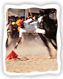 Pushkar Fair Games