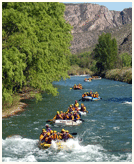 Rafting in Bhagirathi